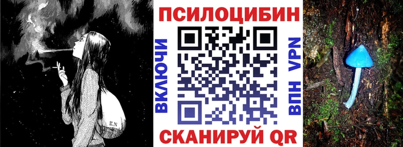 где найти наркотики  Усолье  omg ТОР  Галлюциногенные грибы Psilocybine cubensis 
